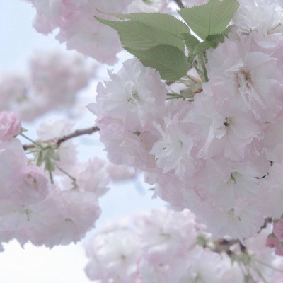 Furry绘画动态技巧Furry群